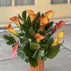 Beautiful mango calla lilies arranged in a in a matte orange 8&quot;H
