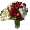 Send  Winter Modern 4 Dozen premium Red &amp; White Rose Bouquet