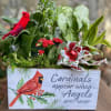 A lovely holiday garden featuring a pretty bloomer and an assortment of