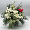 A beautiful, white wintery mix of fresh blooms designed in a cardinal