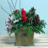 This holiday inspired birdhouse of seasonal greenery &amp; red berry accents is