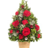 A Mini Christmas Tree made of Boxwood and Christmas Greens, in a