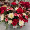 Our Candy Cane Basket is filled with holiday greens, red carnations, white