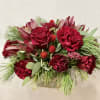 Low and lush white OR red winter arrangement of high petal count