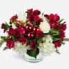 Red alstroemeria and white hyndrangeas spread holiday cheer