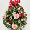 Boxwood Christmas Tree in a gold present container. This stunning Christmas Tree