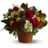 Terracotta pot with mixed evergreens, red roses, pine cones...