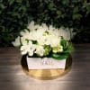 Classy Orchids in White with FREE Luxe Wrapping and Personalized Card from
