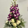 Celebrate the holiday season in exquisite style with our enchanting Festive Orchid