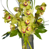 A striking arrangement featuring lush green cymbidium orchids. Nestled in a sleek