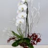 Single stem orchid decorated with winter greenery, acorns, and frosted branches. 