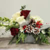 Red and white holiday flowers with evergreen. in white square vase Alexandria&#039;s