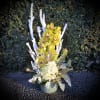 Winter Cymbidium Orchid With Hydrangea designed and white ceramic with glass balls