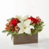 A snowy blend of red and white blooms makes this bouquet the