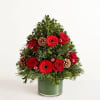 EXCLUSIVE Share the radiant wonder of Christmas. Our elegant evergreen tree arrangement