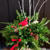 An arrangement of Christmas greens in an adorable rustic whitewashed vintage box.