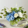 Fill the eight days of Hannukah with the blue and white blooms