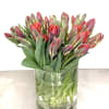 A lush and modern display of premium parrot tulips arranged tightly in
