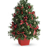 Festive boxwood tree decorated with ornaments and ribbons
