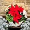 European Garden With A Holiday Theme. Assorted Plants Set Into A Basket