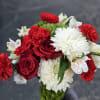 Vased designer's choice arrangement of our freshest blooms in Christmas colors. NOTE!!