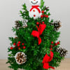 This classically decorated 16&rdquo; boxwood tree is handcrafted and topped with a
