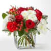 A delicate balance of red and white florals in a short glass