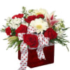 A  variety of red and white blooms in a red cube