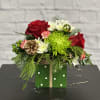 The perfect gift - bright and beautiful Christmas blooms in a gift