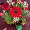 Christmas pine and cedar surround red roses and red gerberas wit
a touch