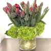 This striking arrangement features premium red parrot tulips rising elegantly above a
