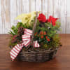 A grapevine garden basket with holiday plants bring warmth and light to