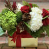Guided Surprise &ndash; Luxury Holiday Arrangement | Wilmington, Delaware Florist
Celebrate the season