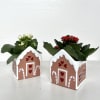 A mini gingerbread ceramic container that holds a cheerful blooming kalanchoe plant&mdash;perfect