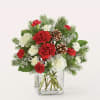 A festive and fun bouquet featuring carnations as red as Santa&#039;s hat