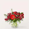 Happy Holidaisy! Share your heartfelt message through vibrant red daisies and crisp