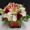 A festive red crackle cube filled with cedar, candy cane amaryllis, white