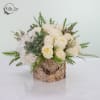 Polaris
Elegant, serene, and beautifully natural, Polaris brings together soft white blooms and