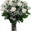 12 white roses, baby&#039;s breath or filler with greens , vase and