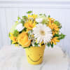 And these flowers will do just that ! The bright colors and
