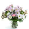 Daisies, Alstroemeria, and Mini-Carnations are presented in this clear glass Ivy bowl.