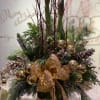 Beautiful Amaryllis plant displayed in a 6&quot; gold cube with winter greens