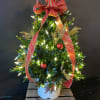 Fresh Boxwood Tree decorated with lights, pine cones, balls &amp; a topper.