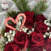 One dozen red roses wrapped with Christmas greenery, candy canes Babys Breath