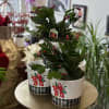 A lovely 4.5" Holiday Cactus plant with a fun and festive ceramic