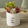 Send a little Peace, Joy, and Cheer with this charming succulent garden.