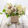This creamy, buttery colored arrangement with stock, roses, hydrangea and more is