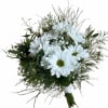 Take this adorable posy bouquet to prom with White Daisies, babys breath
