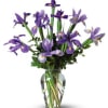 A dozen beautiful blue/purple iris with greenery in a glass vase.
