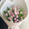 A mixed White and Light Pink color of Tulips in a Hand